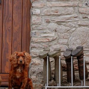 welly-boot-rack-4-pair